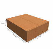 Regular Slotted Box  - 12 x 10 x 3