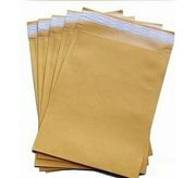 PB 2.5 Paper Bag (8"x11")