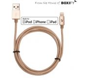 Boxify MFI Certified Lightning Cable golden