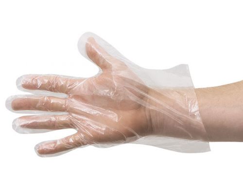 Disposable 2025 gloves cvs